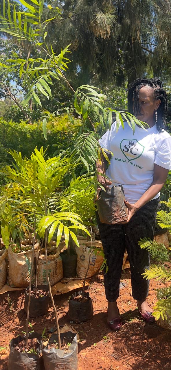 A woman carrying a tall potted tree seedling at a nursery