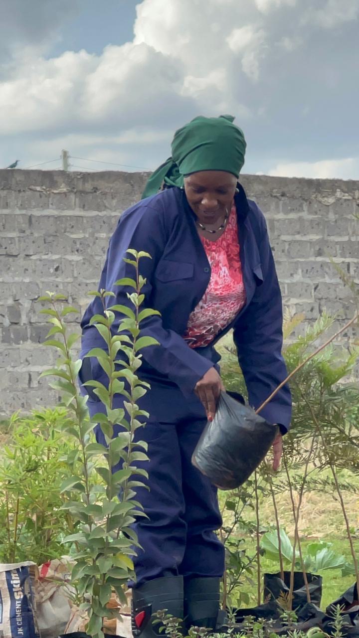 A woman lifting a potted seedling in a community nursery