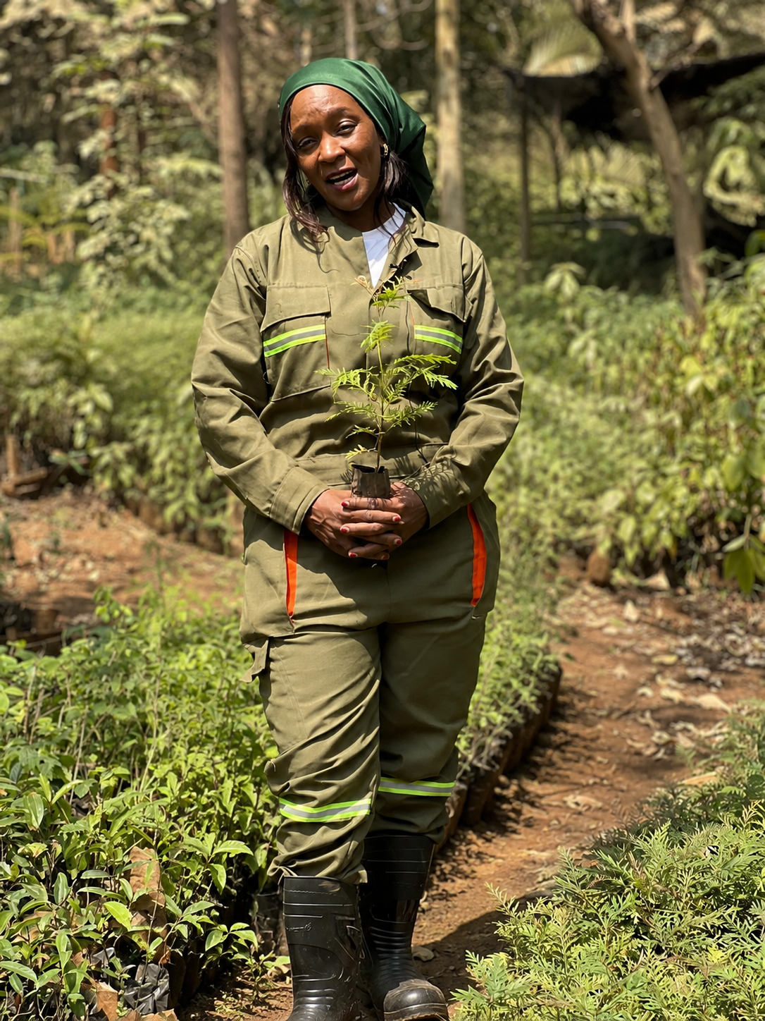 A woman in green field coveralls and headscarf holding a tree seedling in a nursery