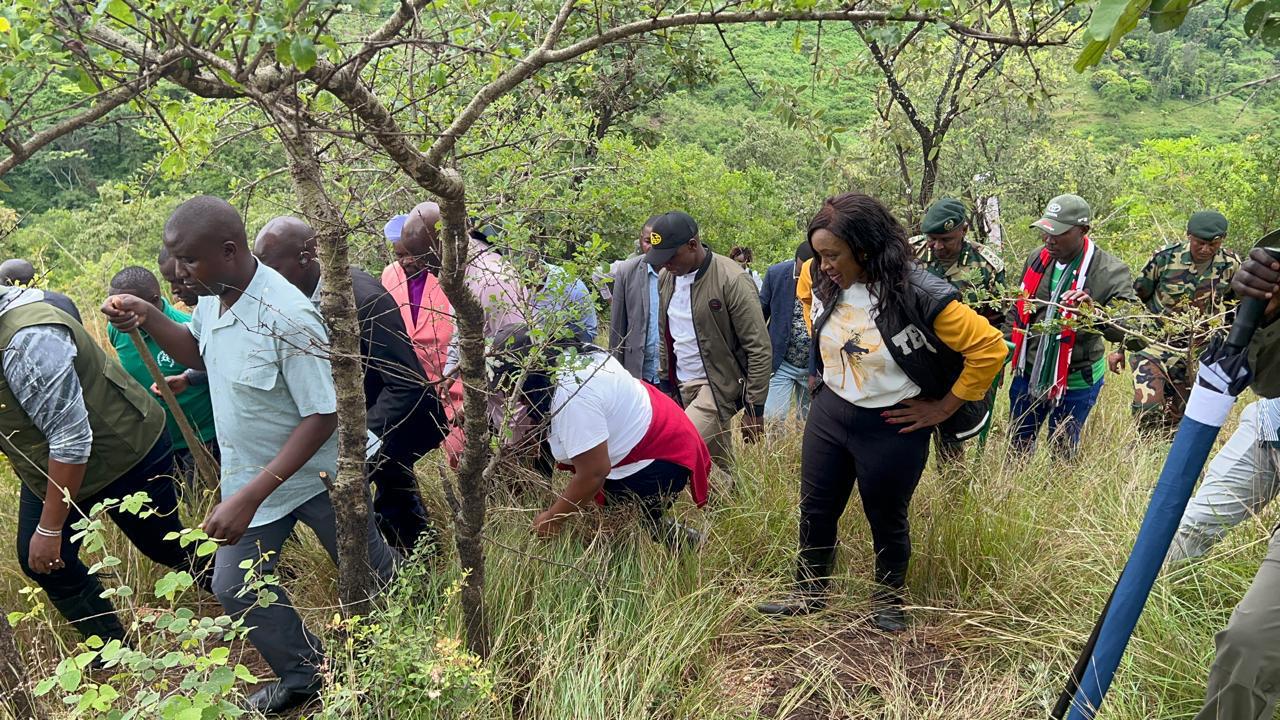 Community members and schoolchildren planting tree seedlings on a green hillside